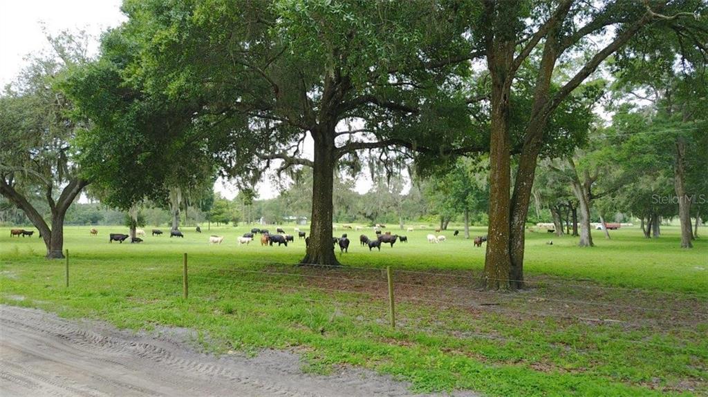 1,353 Acre Ranch For Sale in Oxford, FL $13,528,647