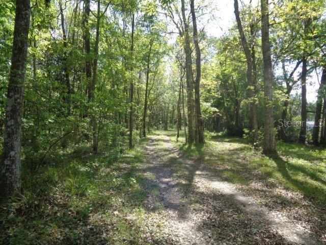 123 Acre Waterfront Farm For Sale in Citra, FL $1,173,155