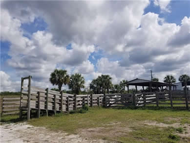 Florida Farm Land Real Estate Specialist - Let us help you buy or sell your next Farm Land Property